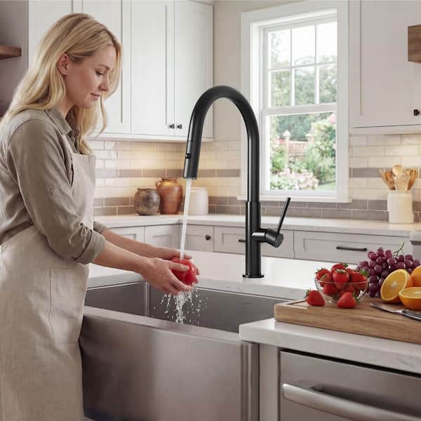 Akicon Black 16.8 in. H Single-Handle Pull-Down Sprayer Kitchen Faucet with 360° Spout Swivel