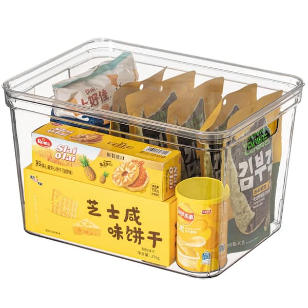 Clear Storage Container with Lid For Kitchen Pantry Cabinet & Fridge Bin For Home or Office Use, Large