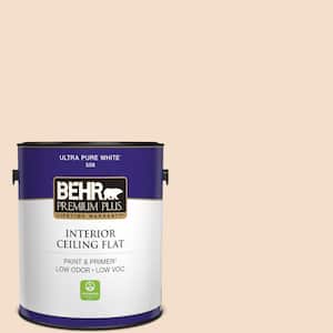 1 gal. #S250-1 Macaroon Cream Ceiling Flat Interior Paint