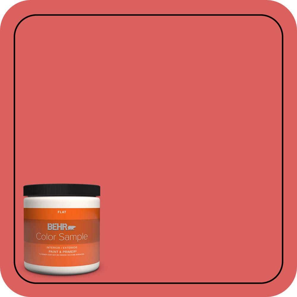 8 oz. #P170-5 Roulette Flat Interior/Exterior Paint & Primer Color Sample price history on PriceWatchPro
