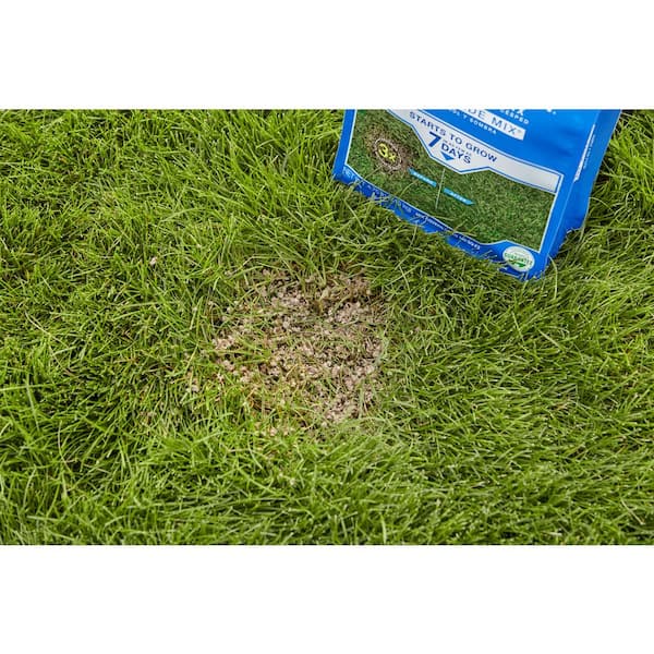 Dead Grass Patches In Lawn Cheapest Retailers