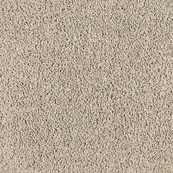 TrafficMaster Whisk and Whimsy I-Island Taupe-Brown 25 oz. Polyester Textured Carpet - Installation Required