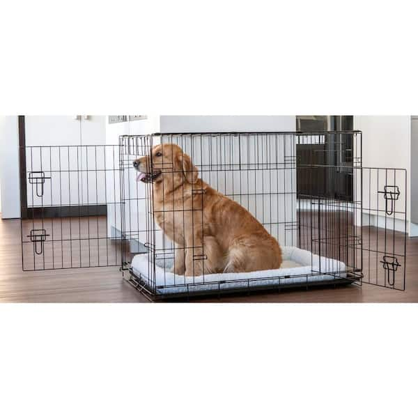 42 x 28 dog hot sale crate