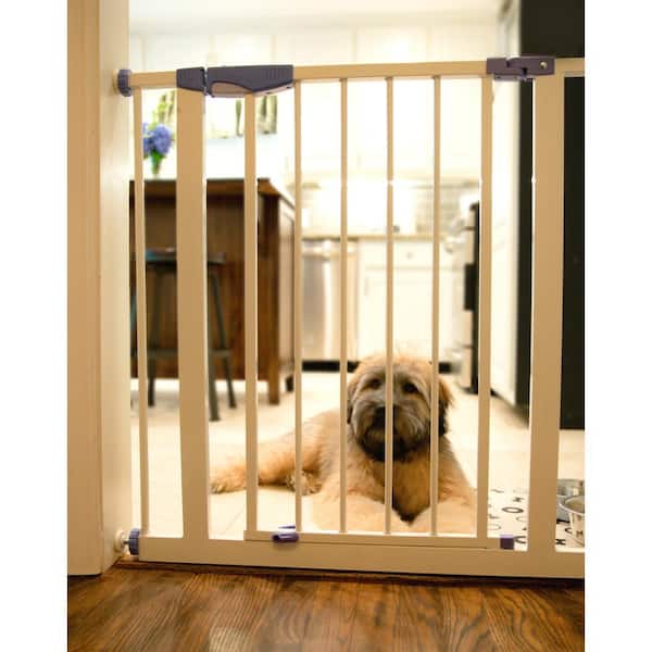 reja puerta para perros y gatos  Dog gate, Extra tall pet gate