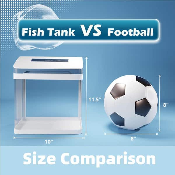 Mini Fish Football Fish Tank Football