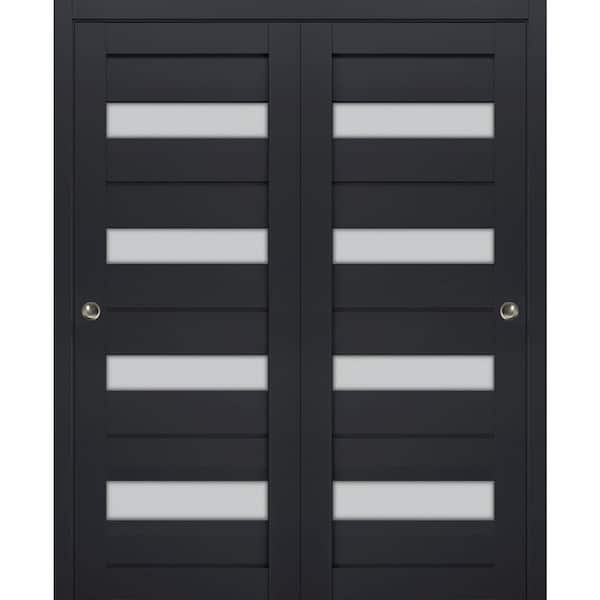 Sartodoors 84 in. x 84 in. 2 Panel Antracite Finished Solid Wood Sliding Door with Hardware