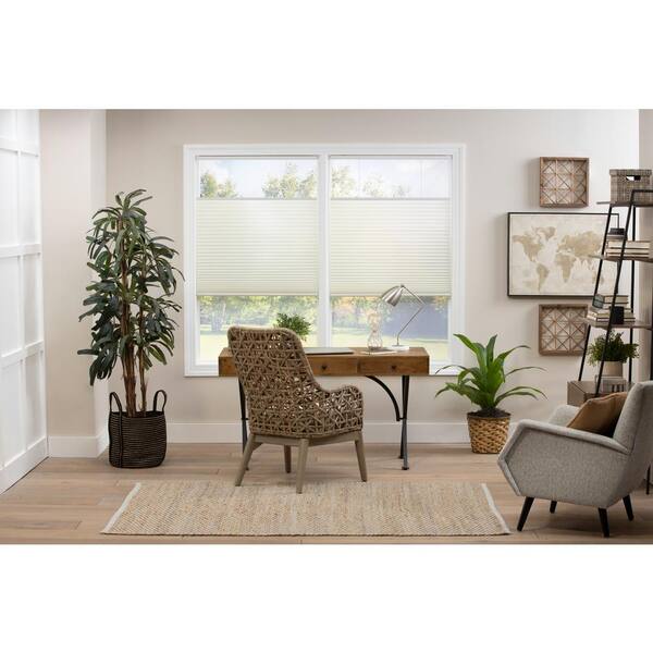 Cordless Top Down Bottom Up Double Cell Up Light Filtering Shades