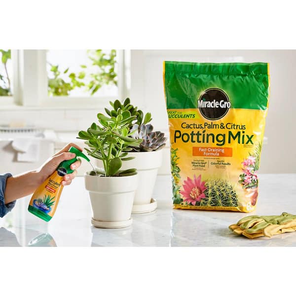 Miracle Gro Cactus Palm And Citrus Potting Mix And Succulent Plant Food Vb3000553 The Home Depot