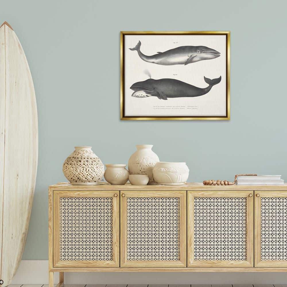 Vintage Whale Study Diagrams by Phillipa Katz Gold Floater Frame Animal Graphic Art Print 25 in. x 31 in. price history on PriceWatchPro
