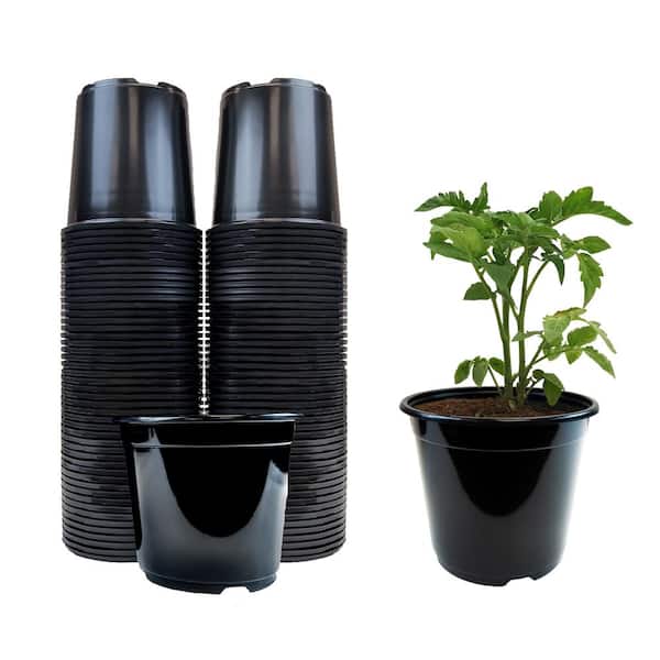 Viagrow 1/2 Gal. Plastic Nursery Pots (100-Pack)