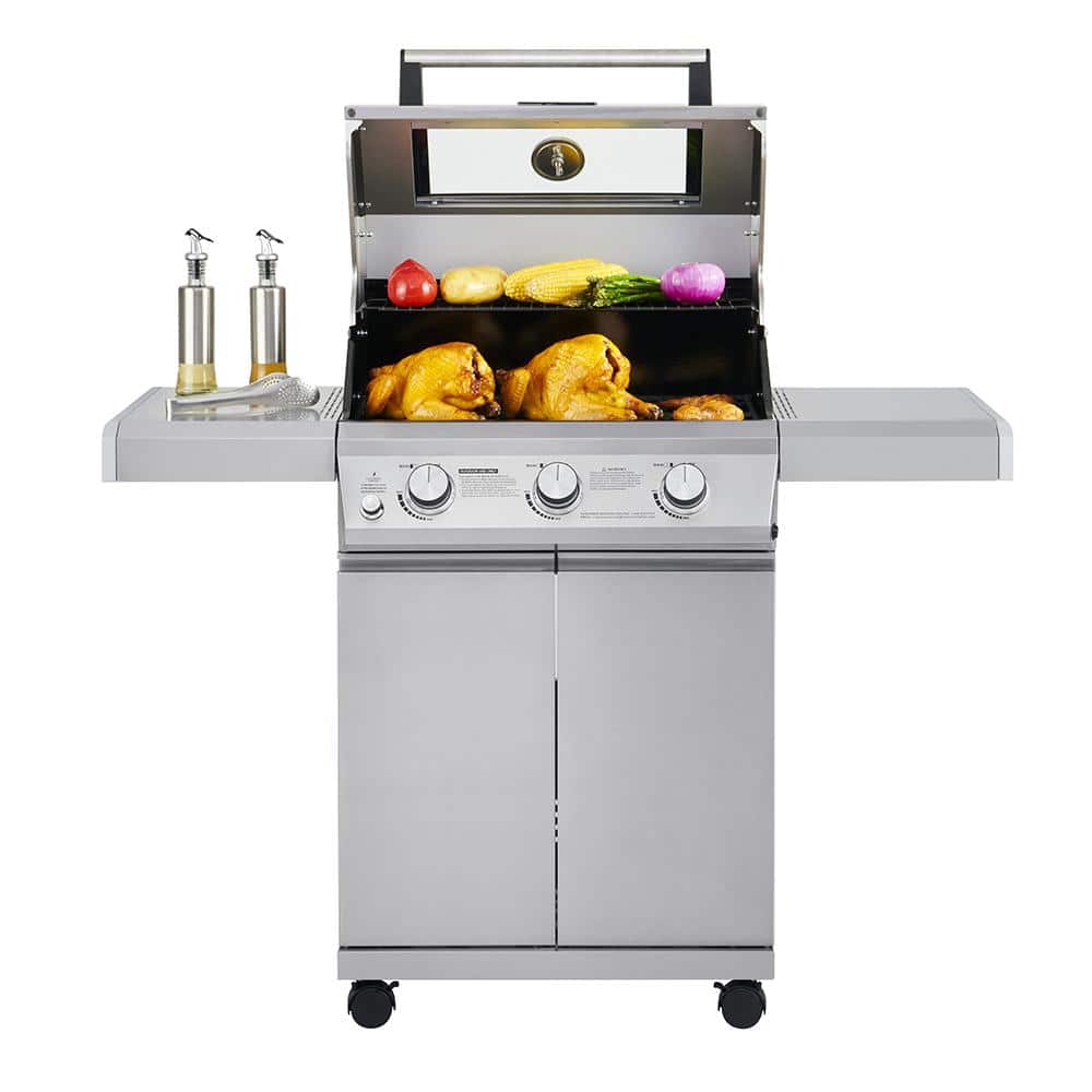 Mesa 300 Stainless Steel 3-Burner Propane Gas Grill with Side Burner