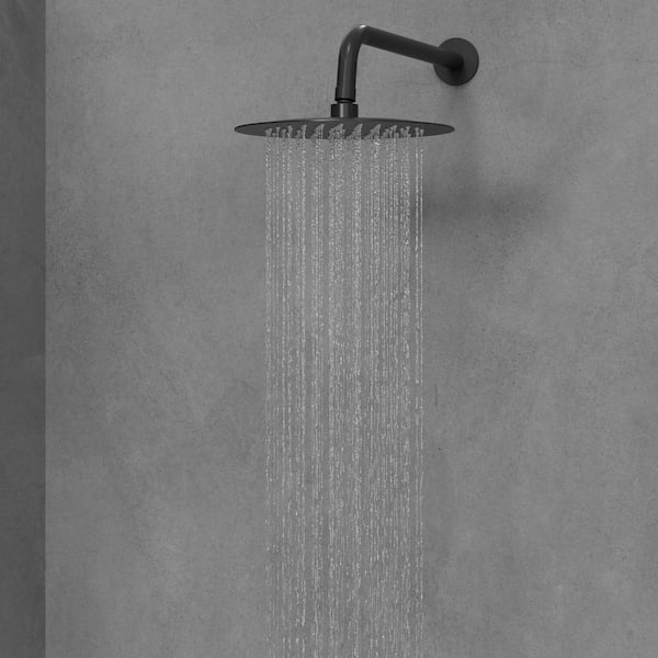 2-Spray Patterns Round 10 in. Wall Mount Dual Shower Heads with Handheld in Matte Black