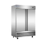 48 cu. ft. 2-Door Commercial Upright Reach-In Freezer in Stainless Steel