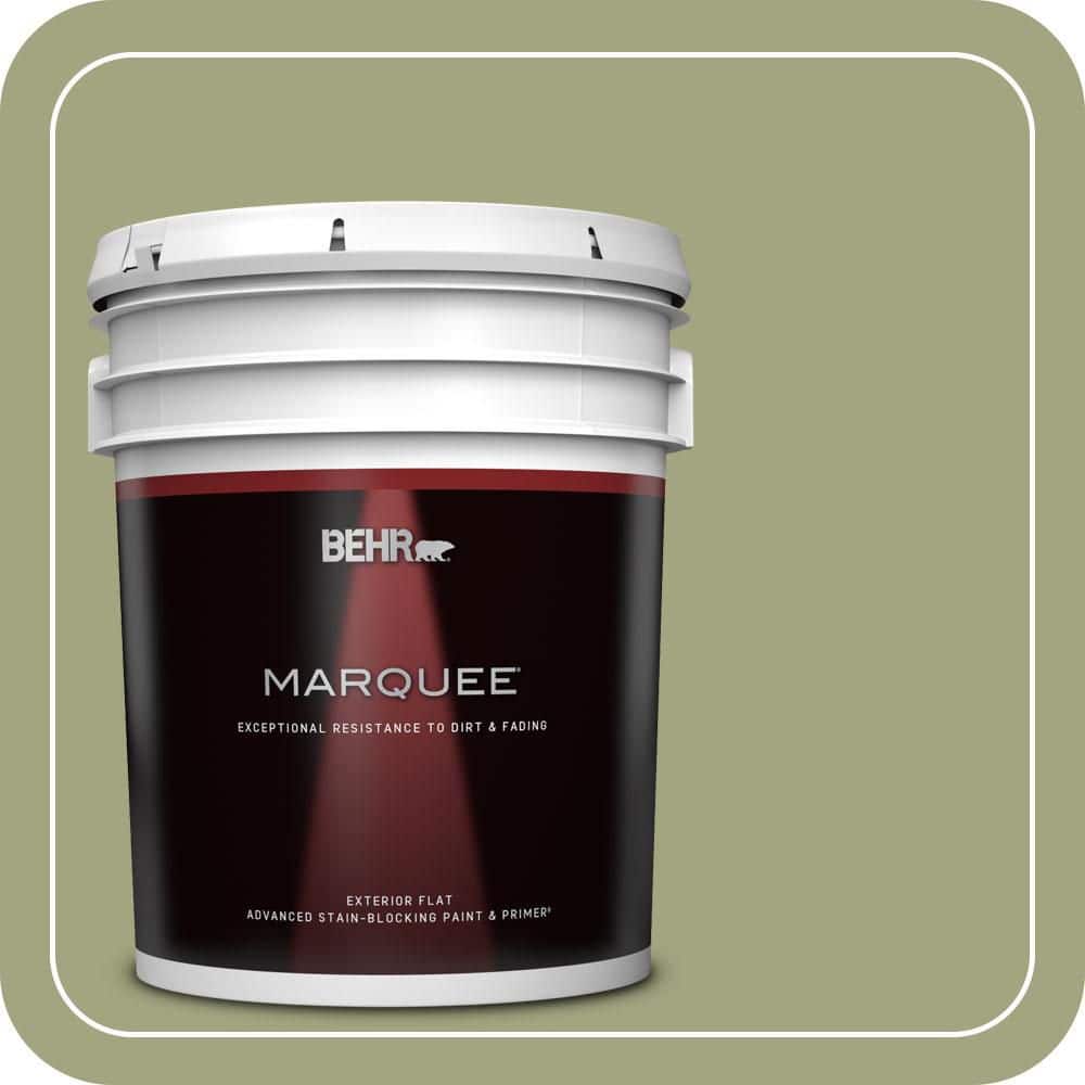 5 gal. #410F-4 Mother Nature Flat Exterior Paint & Primer price history on PriceWatchPro