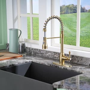 2-Spray Patterns Single Handle Pull Down Sprayer Kitchen Faucet with Deck Plate and Water Supply Hoses in Brushed Gold