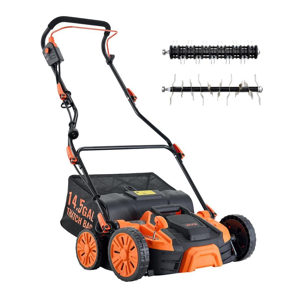Home Depot Dethatcher Rental