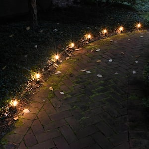 Pathway Clear String Lights (Set of 8)