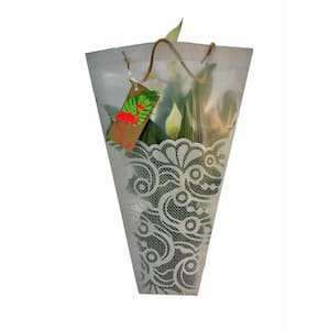 6 in. Spathiphyllum Plant in Deco Pot