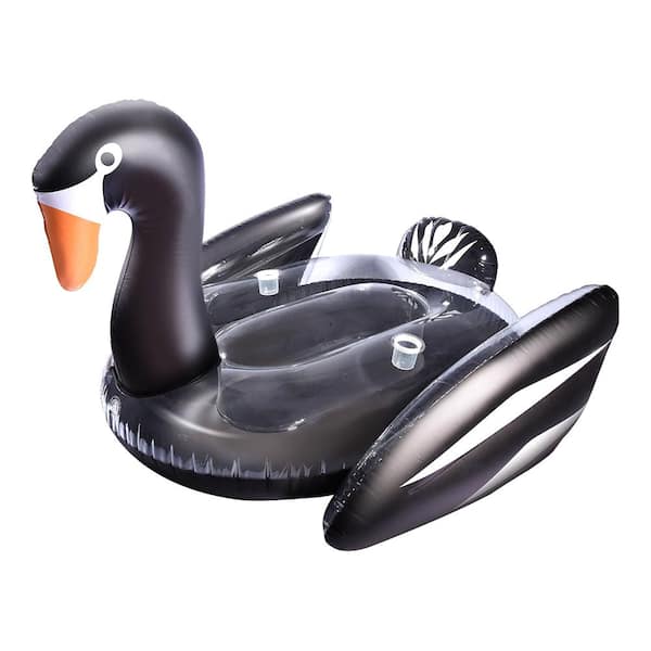 big swan pool float