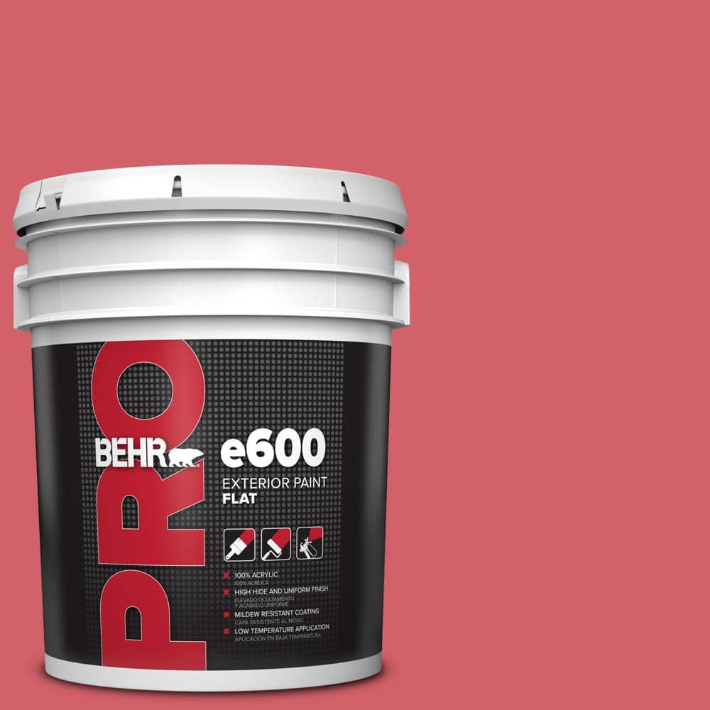5 gal. #140B-6 Italiano Rose Flat Exterior Paint price history on PriceWatchPro