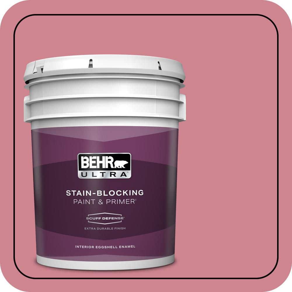 5 gal. #130D-4 Rose Sachet Extra Durable Eggshell Enamel Interior Paint & Primer price history on PriceWatchPro
