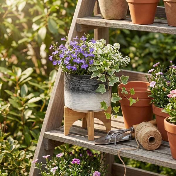 Liv & Skye 5 in. x 6 in. Gray Ceramic Ombre Planter On Wooden