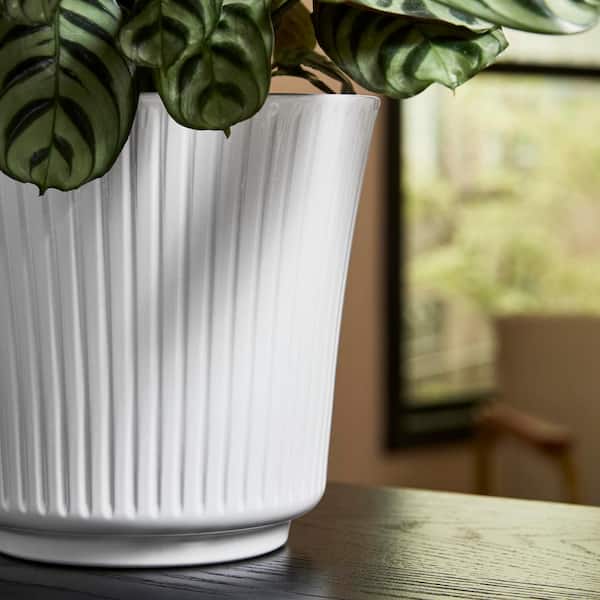 Vigoro 6.7 in. x 6.7 in. D x 5.9 in. H Leeanne Small Glossy White