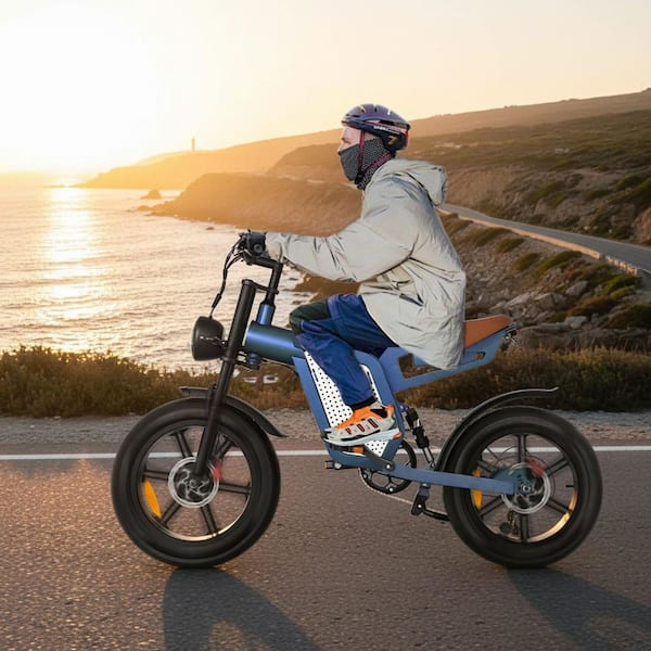 20 in. Fat Tires 1500-Watt 48-Volt 23A Battery 7-Speed Shimano