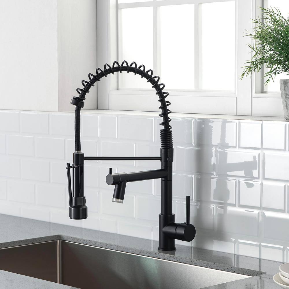 Matte Black Pull Down Kitchen Faucet with Pull-out Spray