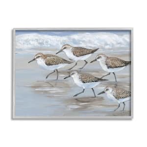 Sandpiper Bird Flock Marching Beach Coast Waves by Tim OToole Framed Animal Art Print 14 in. x 11 in.