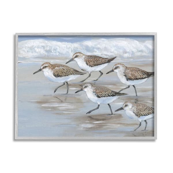 The Stupell Home Decor Collection Sandpiper Bird Flock Marching Beach Coast Waves by Tim OToole Framed Animal Art Print 14 in. x 11 in.