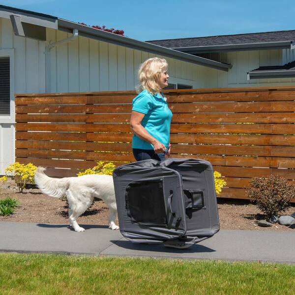 portable dog crate medium