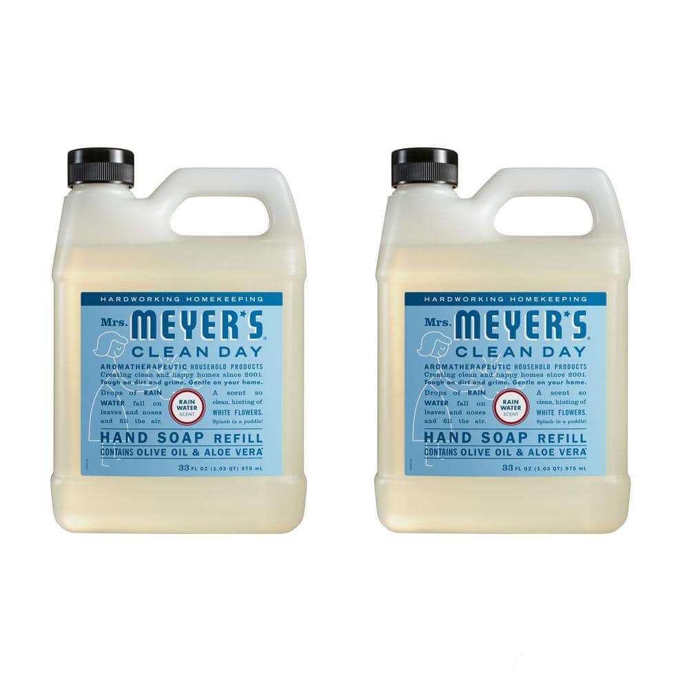 33 oz. Rain Water Scent Liquid Hand Soap (2-Pack) price history on PriceWatchPro