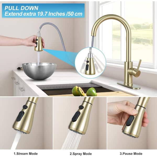 Single Handle Kitchen Faucet Pull Down Sprayer Kitchen Faucet with Deck Plate in Brushed Gold