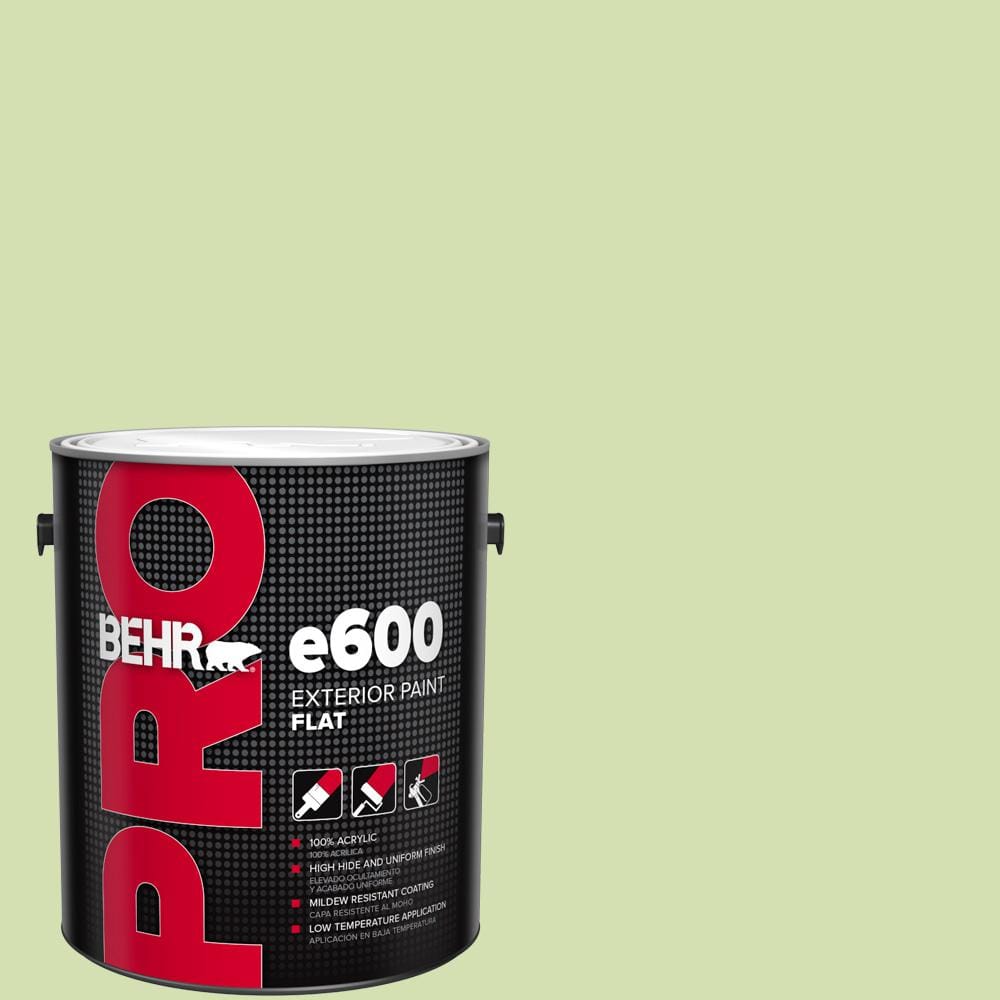 1 gal. #420C-3 Celery Bunch Flat Exterior Paint price history on PriceWatchPro