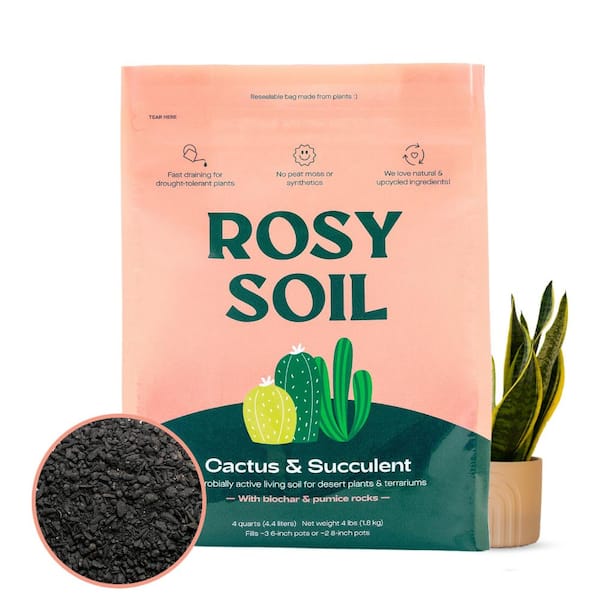 ROSY SOIL Organic 4 qt. Living Soil Succulent Potting Mix for Desert Plants  and Terrariums (1-Pack) CS4 - The Home Depot