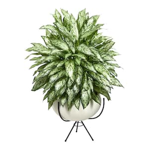 4ft. Silver Queen Artificial Plant in White Planter with Metal Stand