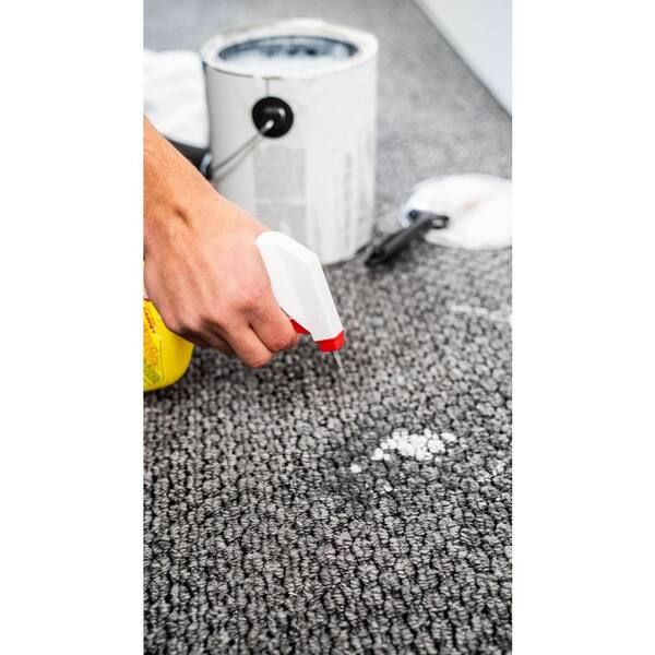 Paint Remover For Carpet atelieryuwa.ciao.jp