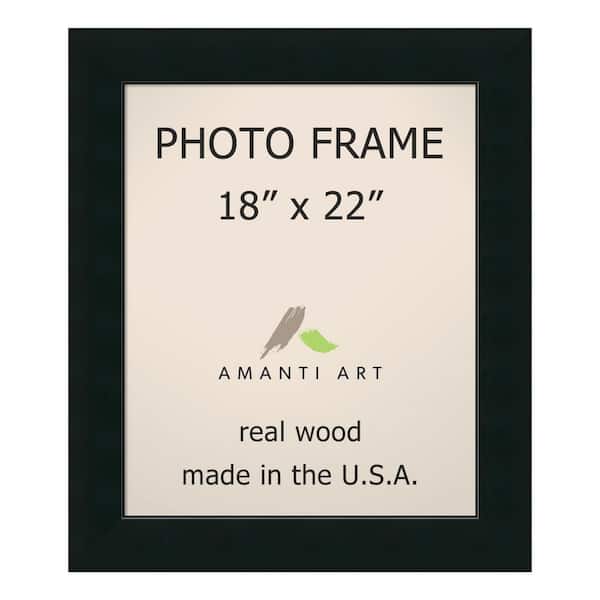 Amanti Art Corvino 18 in. x 22 in. Black Picture Frame