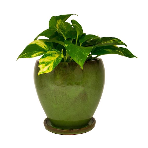 Paraiso Ceramic Planters Verdigris Green