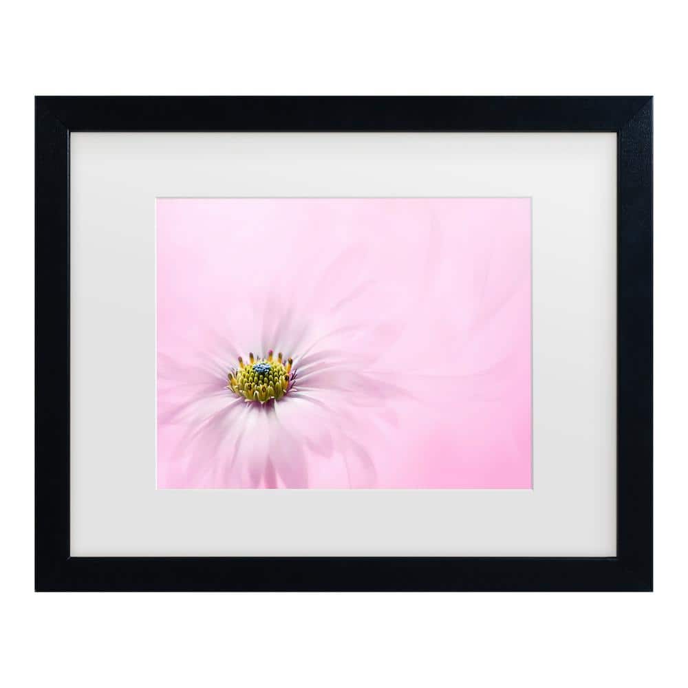Jacky Parker Softness Matted Framed Photography Wall Art 18 in. x 22 in. price history on PriceWatchPro