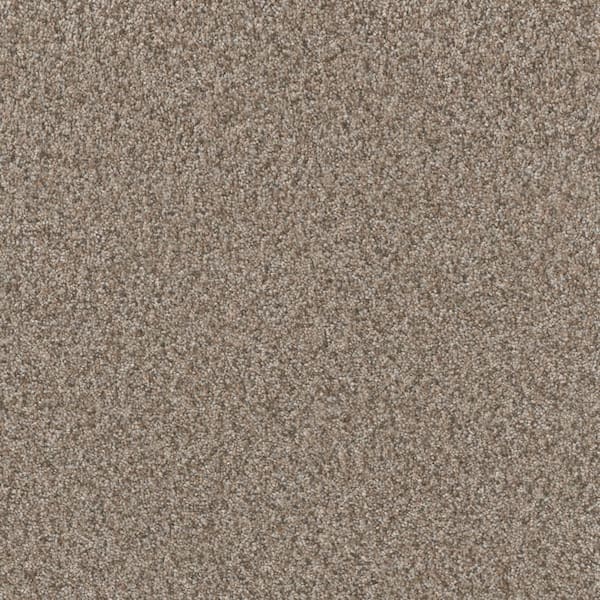 Manuscript III -Story Beige-65 oz. SD Polyester Texture Carpet - Installation Required