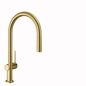 Talis N Single-Handle Pull Down Sprayer Kitchen Faucet with QuickClean in Brushed Gold Optic
