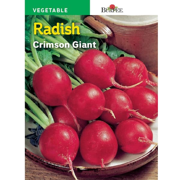 Burpee Radish Crimson Giant Seed