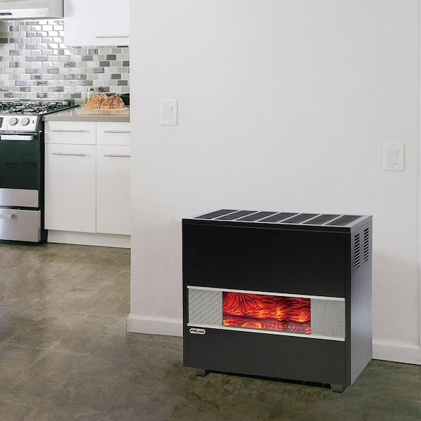 Williams 65,000 BTU Fireplace Front Natural Gas Room Heater