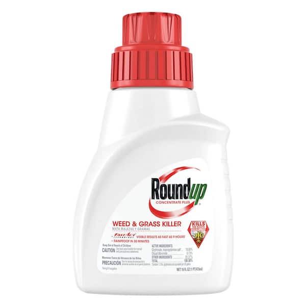 Roundup 16 oz. Concentrate Plus Weed and Grass Killer
