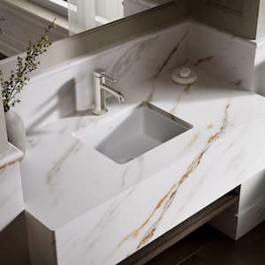 Verticyl 17.1 in. x 13.38 in. Undermount Bathroom Sink in White Vitreous China