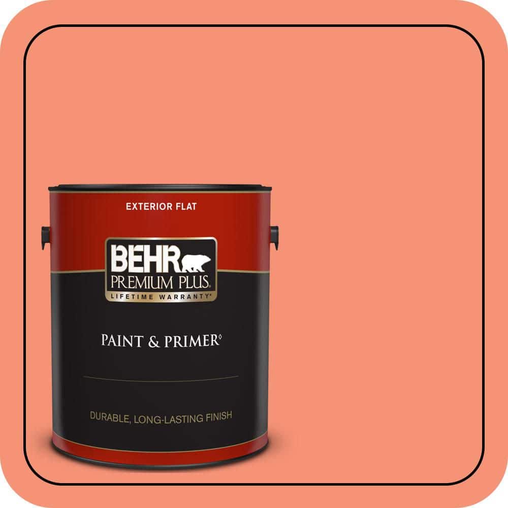 1 gal. #200B-5 Indian Dance Flat Exterior Paint & Primer price history on PriceWatchPro