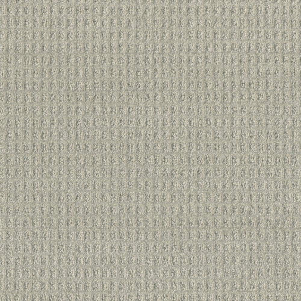 8 in. x 8 in. Pattern Carpet Sample - Amaryllis - Color Chic price history on PriceWatchPro