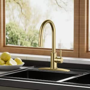 Single Handle Pull Down Sprayer Kitchen Faucet with Deckplate and Flexible Hose in Brushed Gold